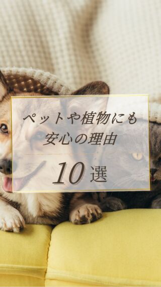 ペットや植物にも安心の理由は？！✨

水道水と同じぐらい手軽な浄水器はじめませんか？☺️

動画にて詳細をご覧ください！☺️

天然ミネラルと先端技術で生み出す、体にやさしい美味しい水。
健康・美容・環境にこだわるあなたのライフスタイルを、内側からサポートします。

@kanro.by.orise 👈プロフにて特別無料動画公開中！

━━━━━━━━━━
このアカウントでは主に

📃【甘露乃水】の特徴紹介
💡健康・美容に役立つ情報
🌿環境に優しいライフスタイル提案
💧水の豆知識など

などの情報を発信しています！🌍
━━━━━━━━━━

甘露の水は、厳選された天然水と革新的技術で、あなたの日常を豊かにする新しい水の選択です。
プロフにて特別無料動画公開中！

▼▼▼
@kanro.by.orise

#甘露乃水 #ミネラルウォーター #浄水器 #水素水 #健康 #美容 #ライフスタイル #エコ #環境 #サステナブル #オーガニック #内側から美しく